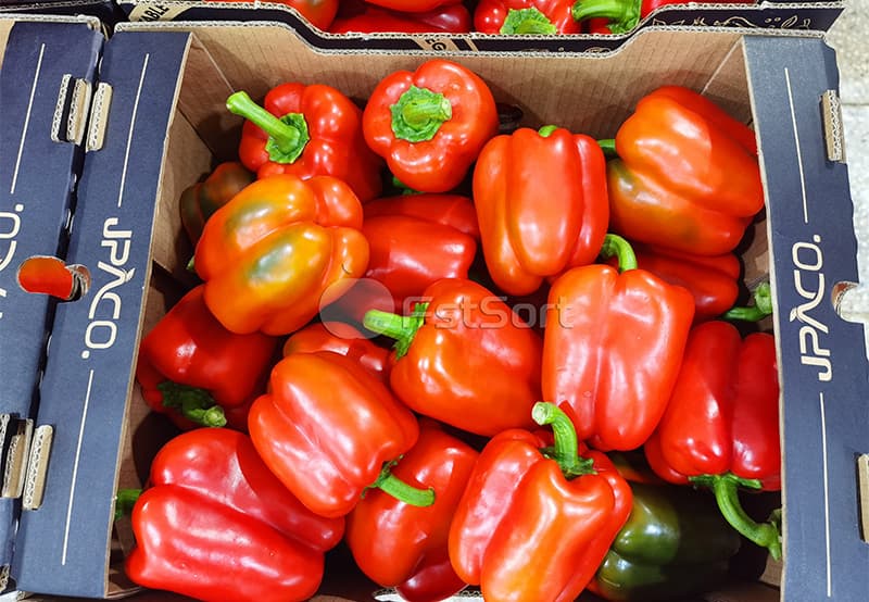 images/1702542032558bell pepper grading machines.jpg